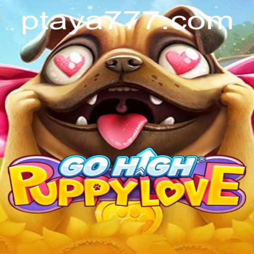 GoHighPuppyLove: An In-Depth Journey into the World of Taya 777
