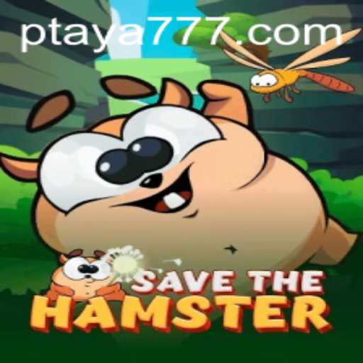 SavetheHamster: An Exciting Adventure in Taya 777